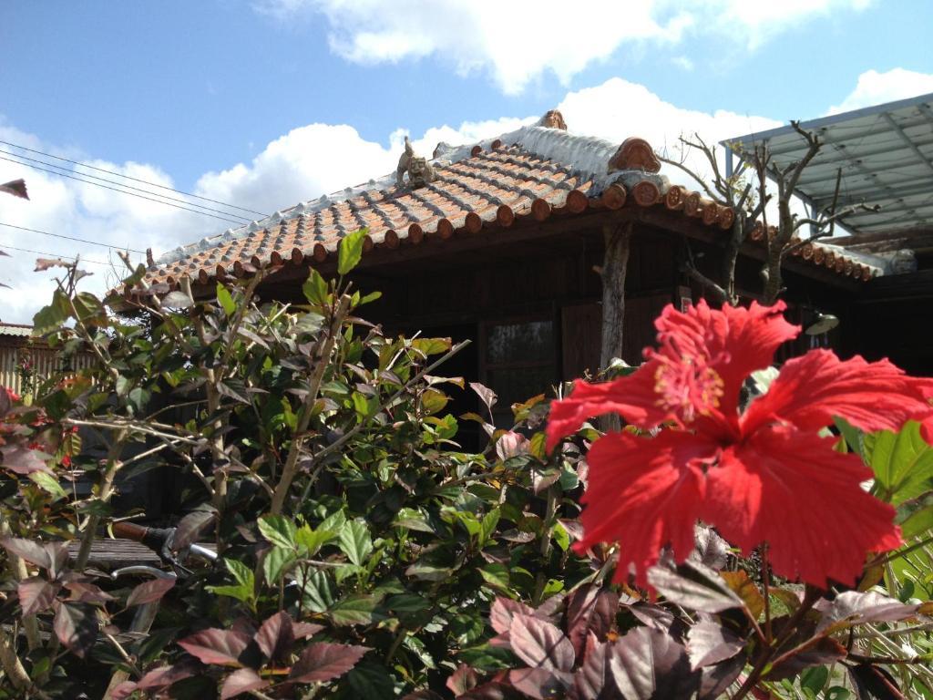 Nakijin No Yado Hibiscus Hotel Bagian luar foto
